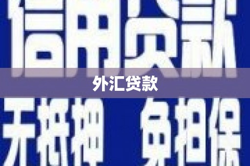 新邱外汇贷款