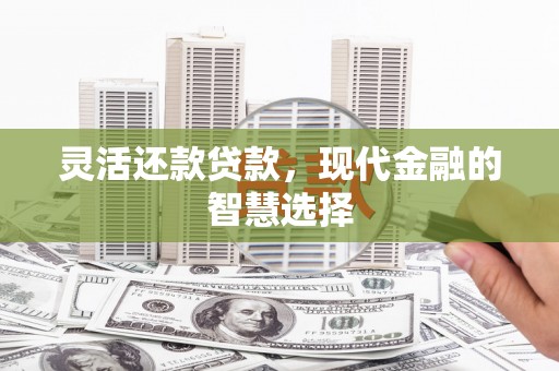 新邱灵活还款贷款，现代金融的智慧选择