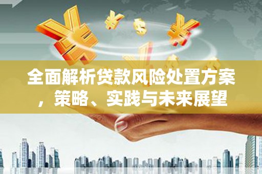 新邱全面解析贷款风险处置方案，策略、实践与未来展望