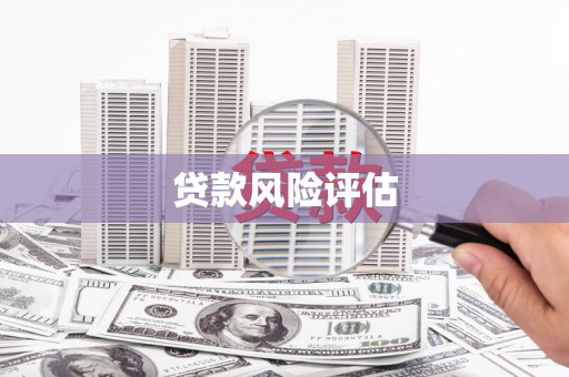 新邱贷款风险评估