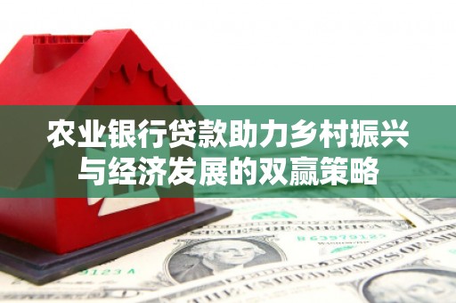 新邱农业银行贷款助力乡村振兴与经济发展的双赢策略