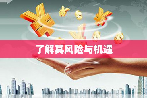 新邱了解其风险与机遇