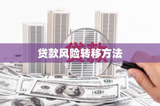 新邱贷款风险转移方法