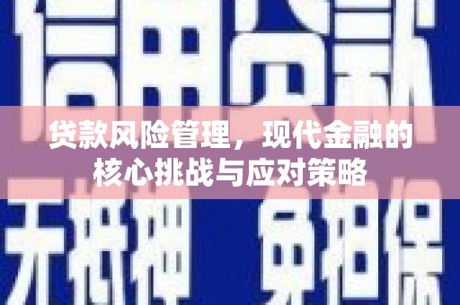新邱贷款风险管理，现代金融的核心挑战与应对策略