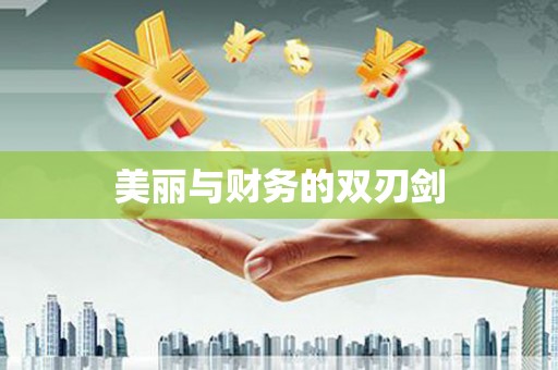 新邱美丽与财务的双刃剑