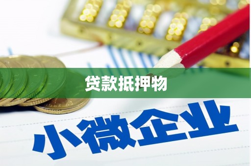 新邱贷款抵押物