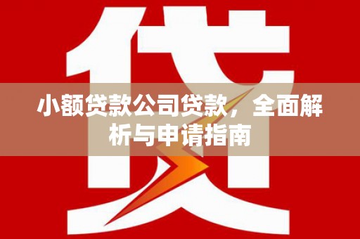 新邱小额贷款公司贷款，全面解析与申请指南