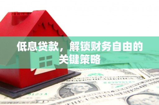 新邱低息贷款，解锁财务自由的关键策略