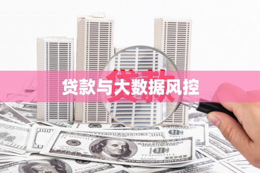 新邱贷款与大数据风控