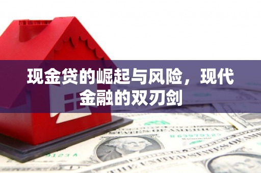 新邱现金贷的崛起与风险，现代金融的双刃剑