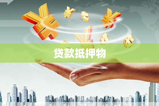 新邱贷款抵押物