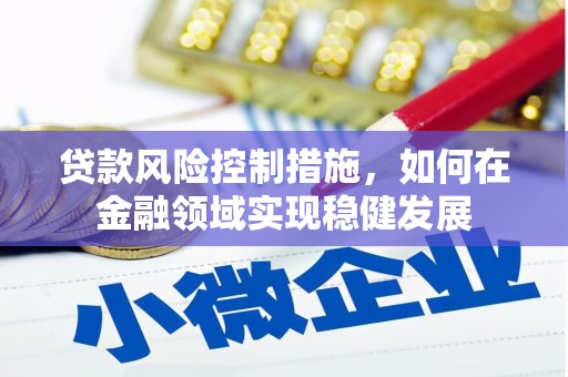新邱贷款风险控制措施，如何在金融领域实现稳健发展