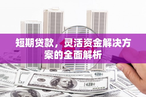 新邱短期贷款，灵活资金解决方案的全面解析