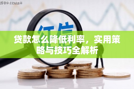 新邱贷款怎么降低利率，实用策略与技巧全解析