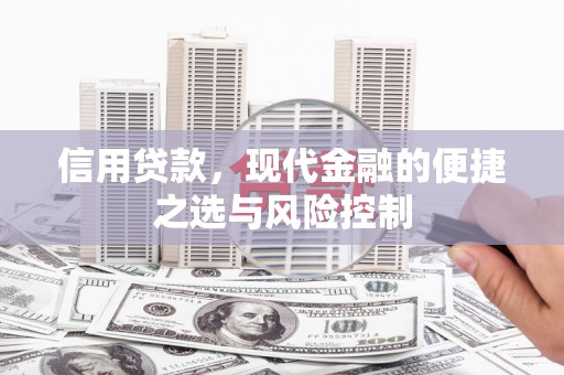 新邱信用贷款，现代金融的便捷之选与风险控制