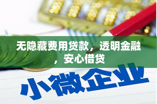 新邱无隐藏费用贷款，透明金融，安心借贷