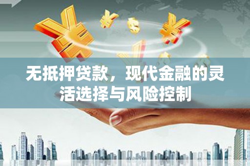 新邱无抵押贷款，现代金融的灵活选择与风险控制