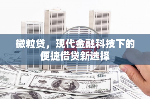 新邱微粒贷，现代金融科技下的便捷借贷新选择