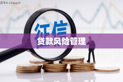 新邱贷款风险管理