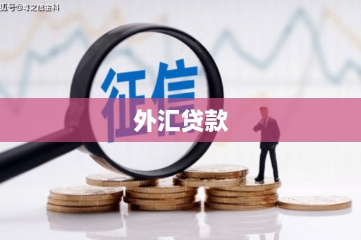 新邱外汇贷款