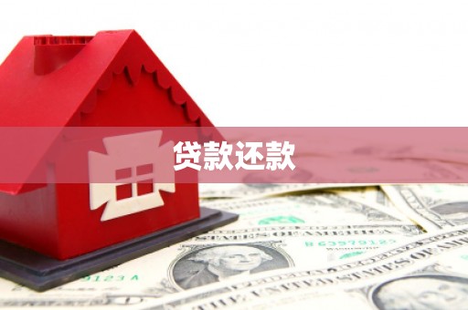 新邱贷款还款
