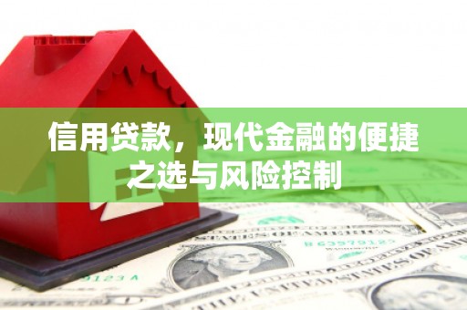 新邱信用贷款，现代金融的便捷之选与风险控制