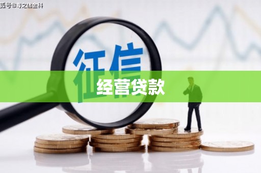新邱经营贷款