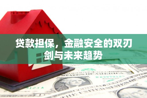 新邱贷款担保，金融安全的双刃剑与未来趋势