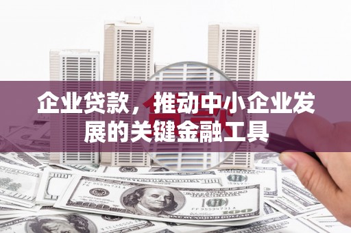 新邱企业贷款，推动中小企业发展的关键金融工具