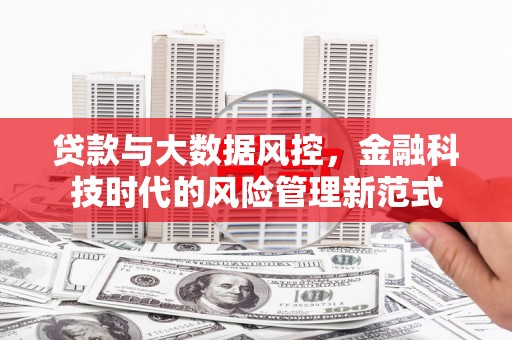 新邱贷款与大数据风控，金融科技时代的风险管理新范式