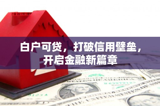 新邱白户可贷，打破信用壁垒，开启金融新篇章