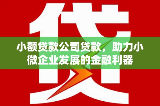 新邱小额贷款公司贷款，助力小微企业发展的金融利器