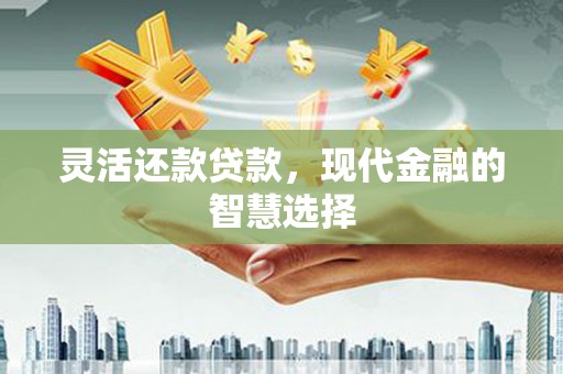 新邱灵活还款贷款，现代金融的智慧选择