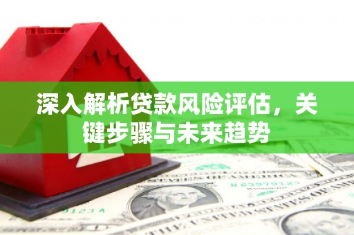 新邱深入解析贷款风险评估，关键步骤与未来趋势