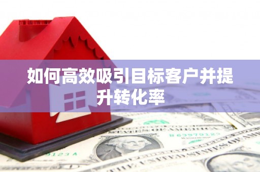 新邱如何高效吸引目标客户并提升转化率