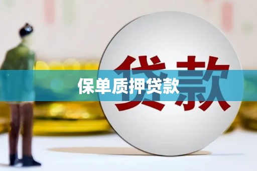新邱保单质押贷款