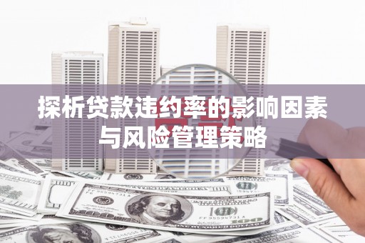 新邱探析贷款违约率的影响因素与风险管理策略