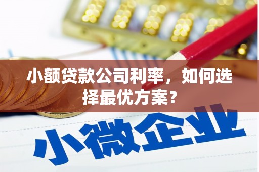 新邱小额贷款公司利率，如何选择最优方案？