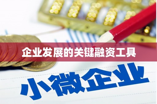 新邱企业发展的关键融资工具