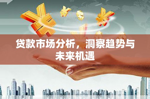 新邱贷款市场分析，洞察趋势与未来机遇