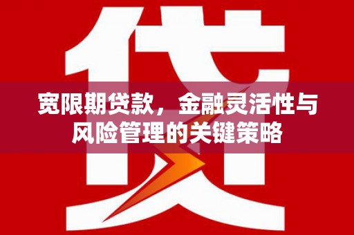 新邱宽限期贷款，金融灵活性与风险管理的关键策略
