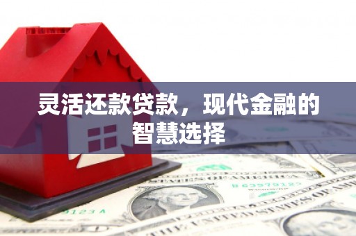新邱灵活还款贷款，现代金融的智慧选择