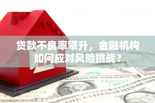 新邱贷款不良率攀升，金融机构如何应对风险挑战？