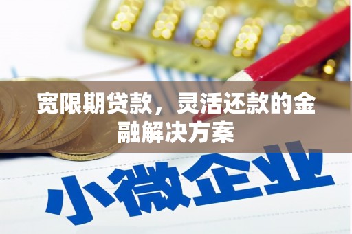 新邱宽限期贷款，灵活还款的金融解决方案