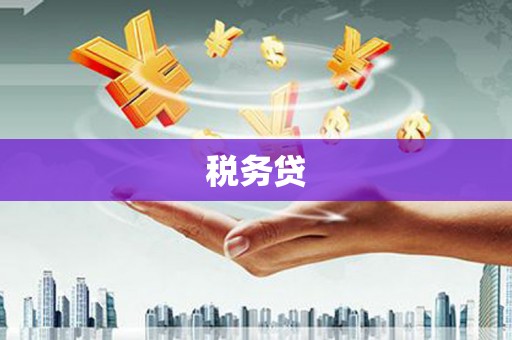 新邱税务贷