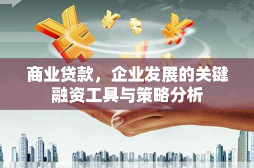 新邱商业贷款，企业发展的关键融资工具与策略分析