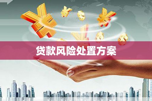 新邱贷款风险处置方案