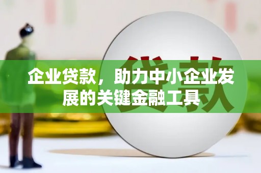 新邱企业贷款，助力中小企业发展的关键金融工具