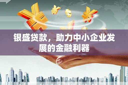 新邱银盛贷款，助力中小企业发展的金融利器