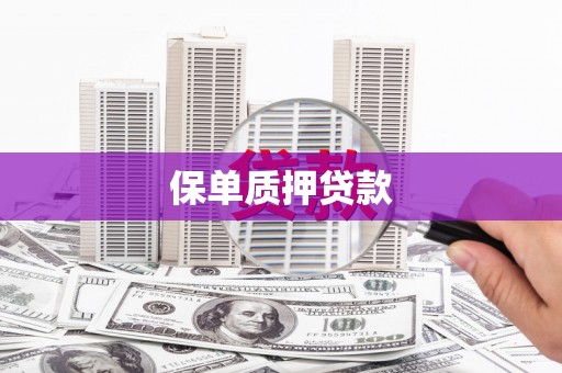 新邱保单质押贷款